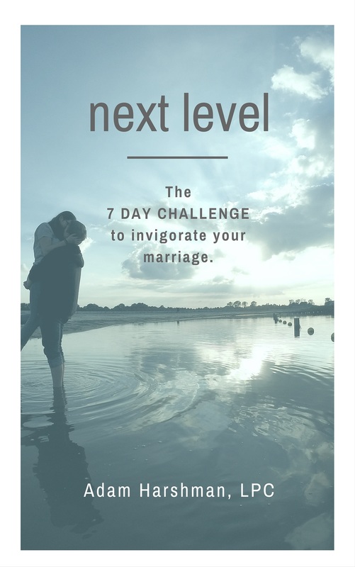 next level book cover